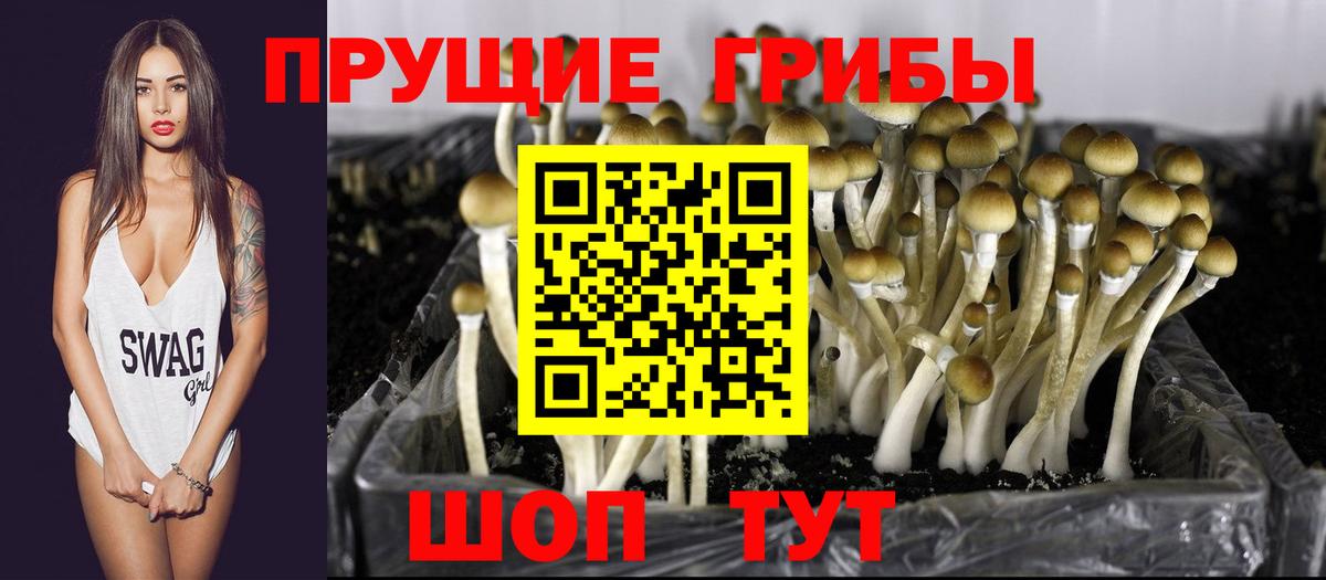 Галлюциногенные грибы GOLDEN TEACHER  Вход с VPN  как найти   Нерюнгри 