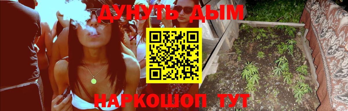 Каннабис SATIVA & INDICA Нерюнгри